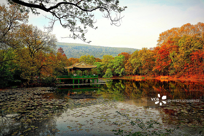 初春流徽榭图片素材