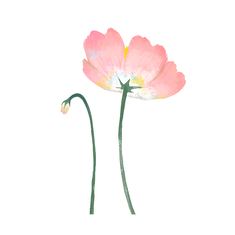 春天的花朵植物图片素材