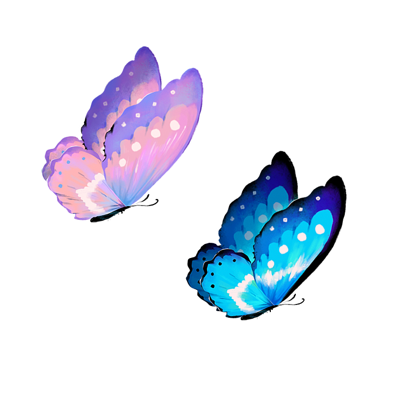 蝴蝶图片素材