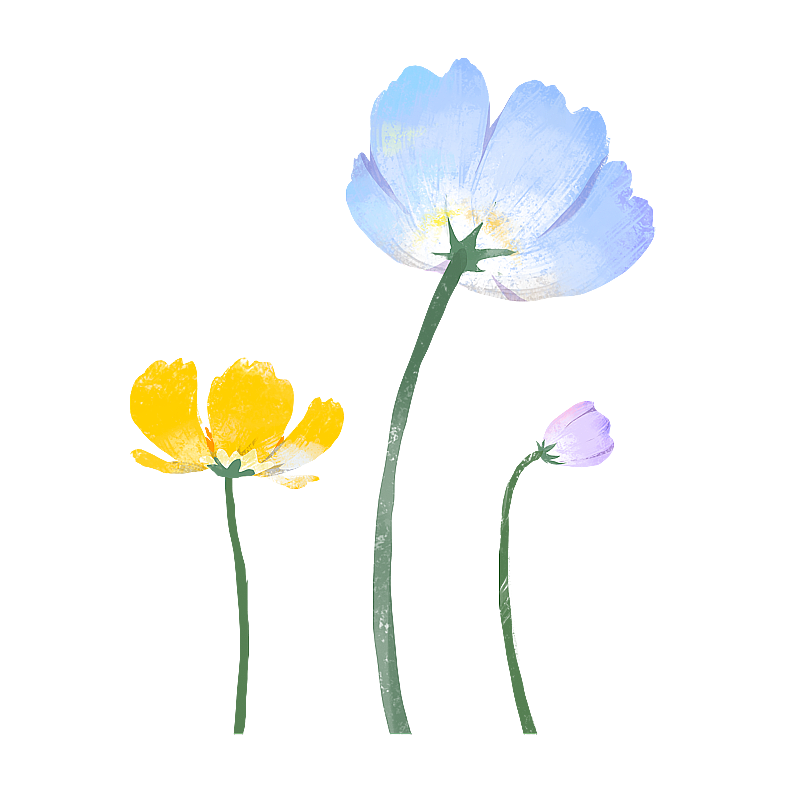 春天的花朵植物图片素材