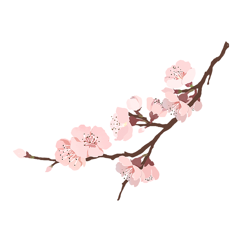 桃花 樱花图片素材