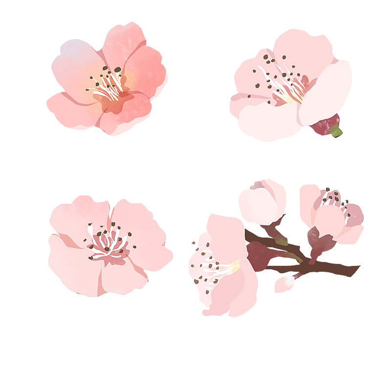 桃花 樱花图片素材
