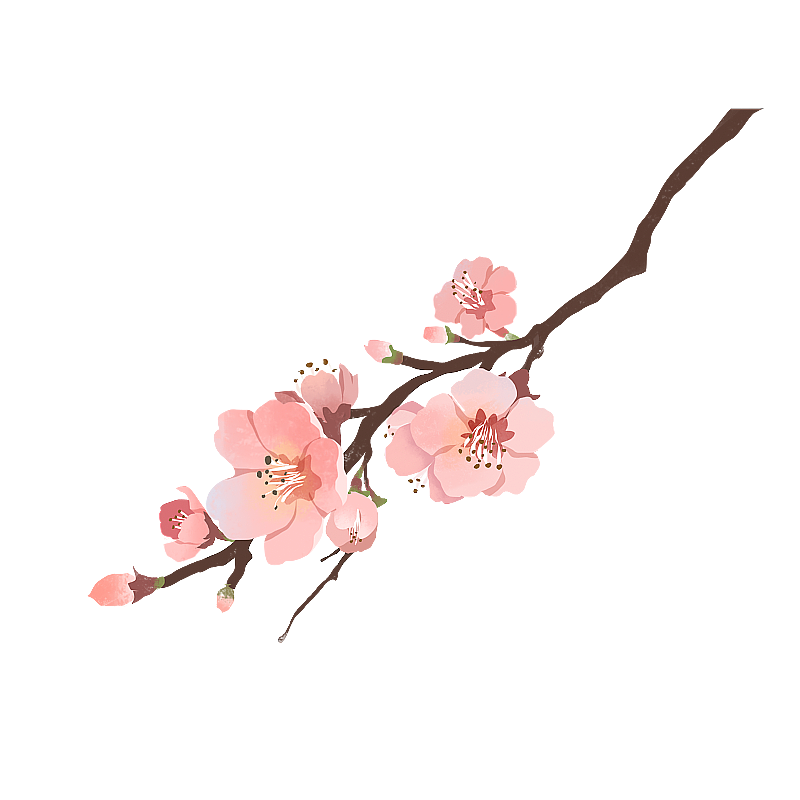 桃花 樱花图片素材