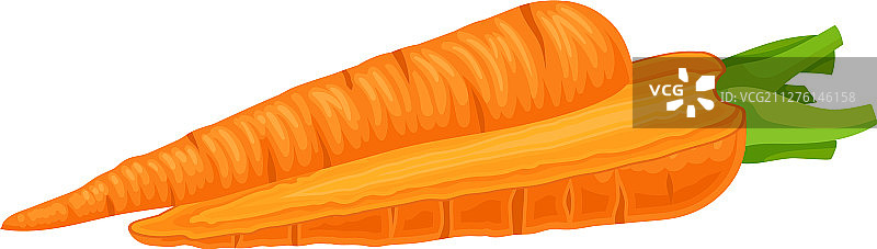 新鲜的生胡萝卜纵向切成两半图片素材