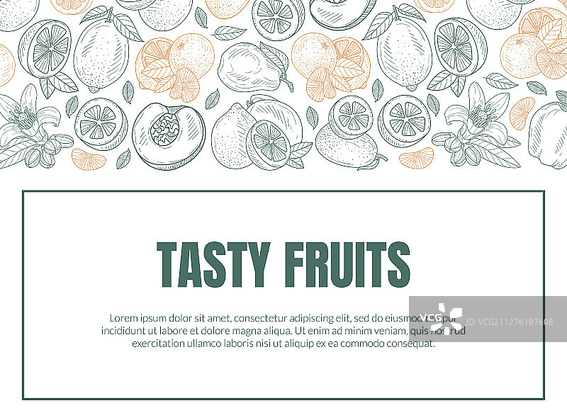 不同水果轮廓图案图片素材