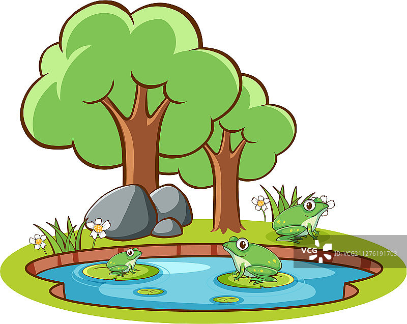 池塘里的青蛙照片图片素材