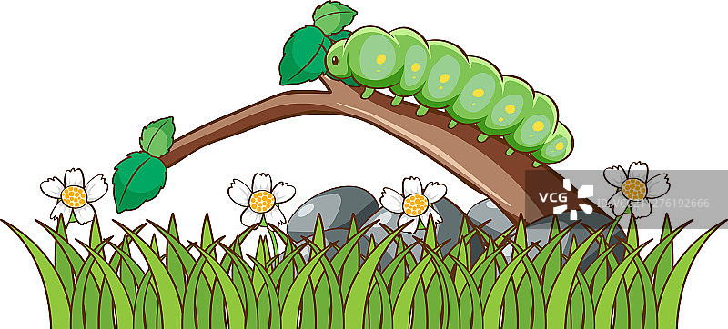 花园中的毛毛虫图片素材