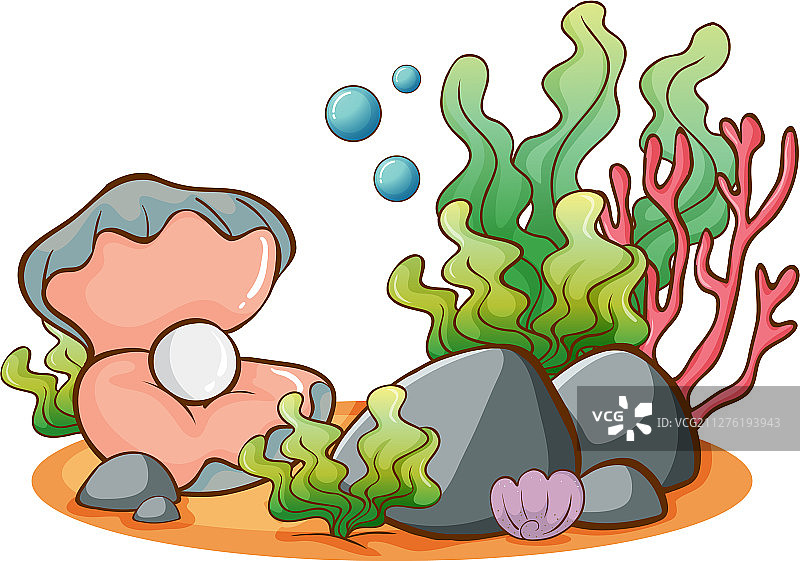 白色背景上的海藻和珍珠图片素材