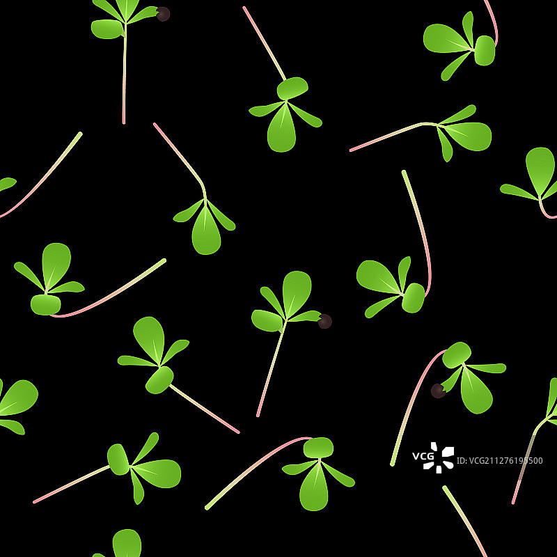 马齿苋苗种子图片素材