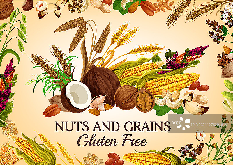 有机坚果健康超级食品谷物图片素材