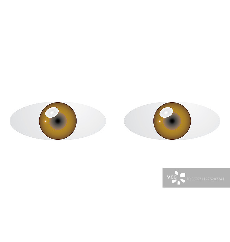 棕色的眼睛图片素材