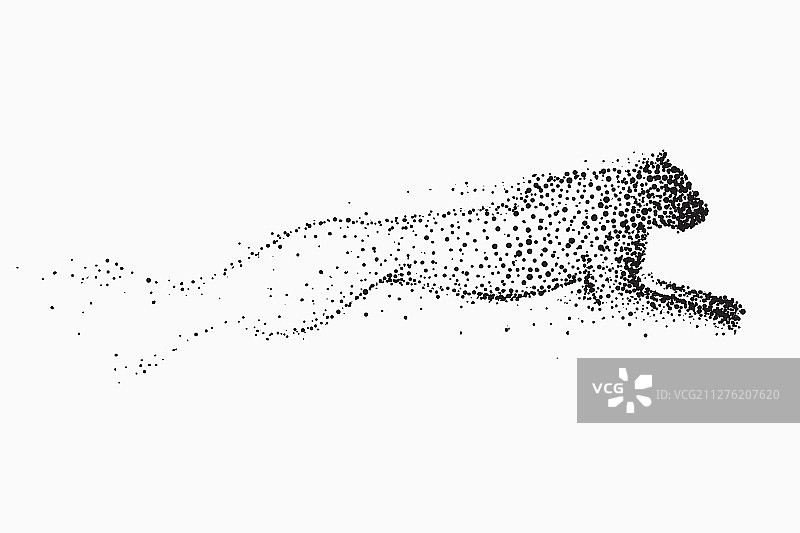 豹纹元素图案图片素材