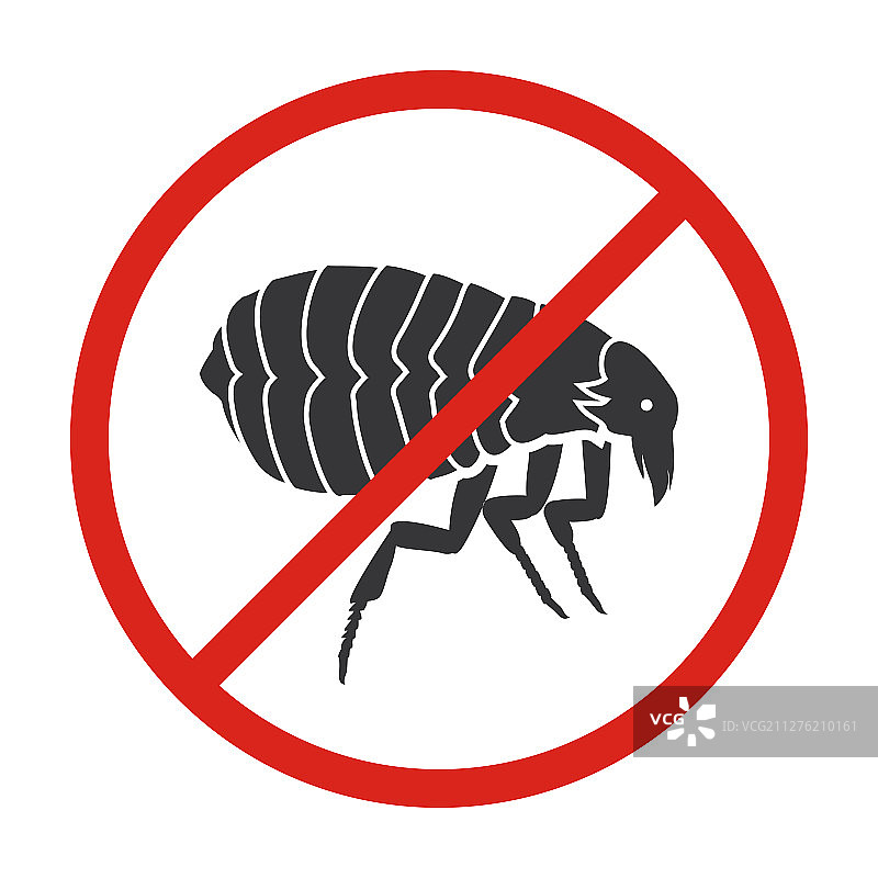 昆虫跳蚤图标图片素材