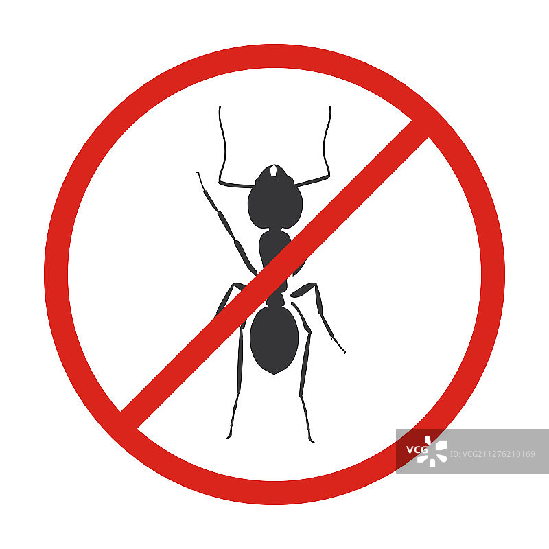 黑色蚂蚁图标图片素材