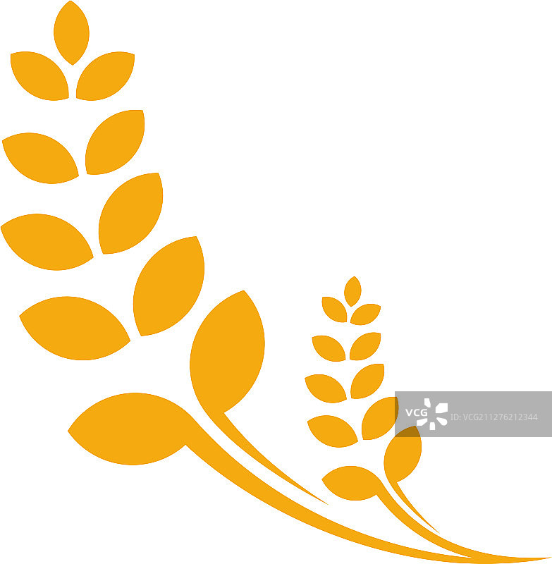 奢华小麦Logo模板图片素材
