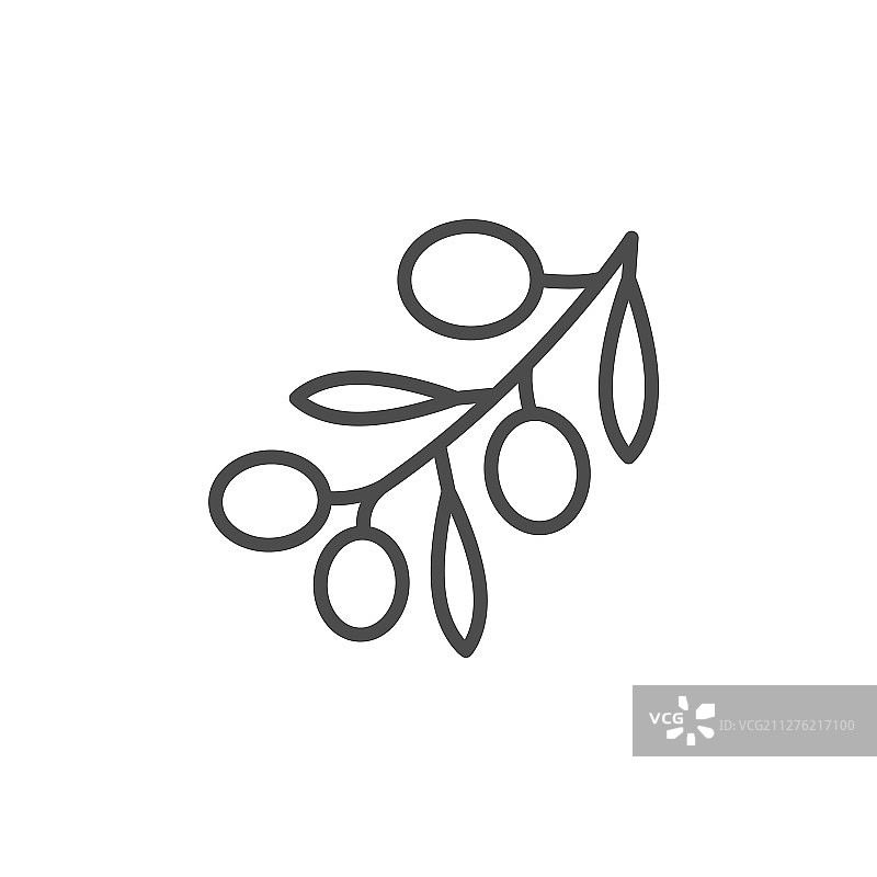 橄榄线条轮廓图标水果概念图片素材