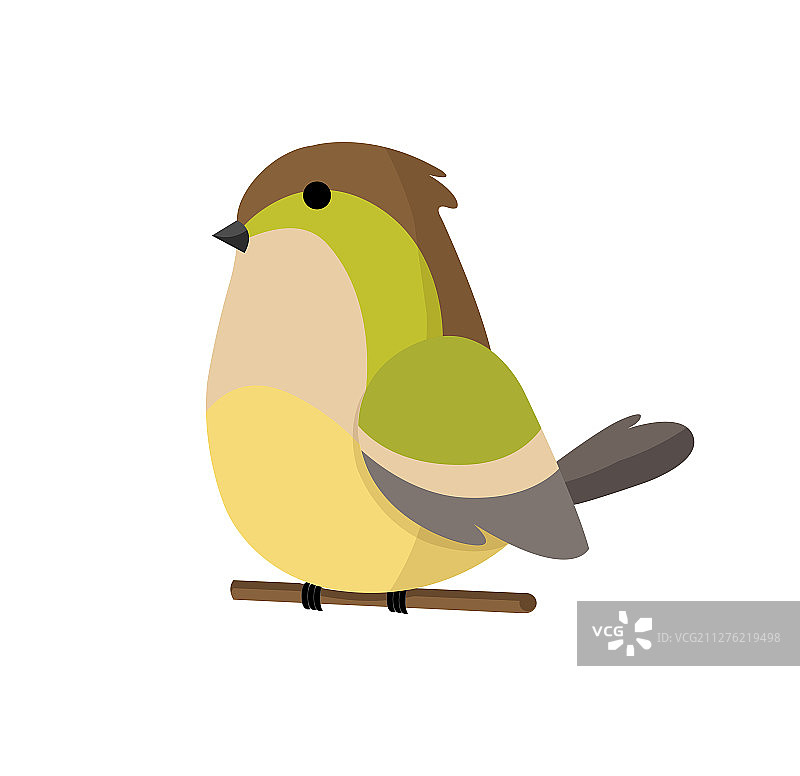 白色背景上孤立的可爱彩色小鸟图片素材
