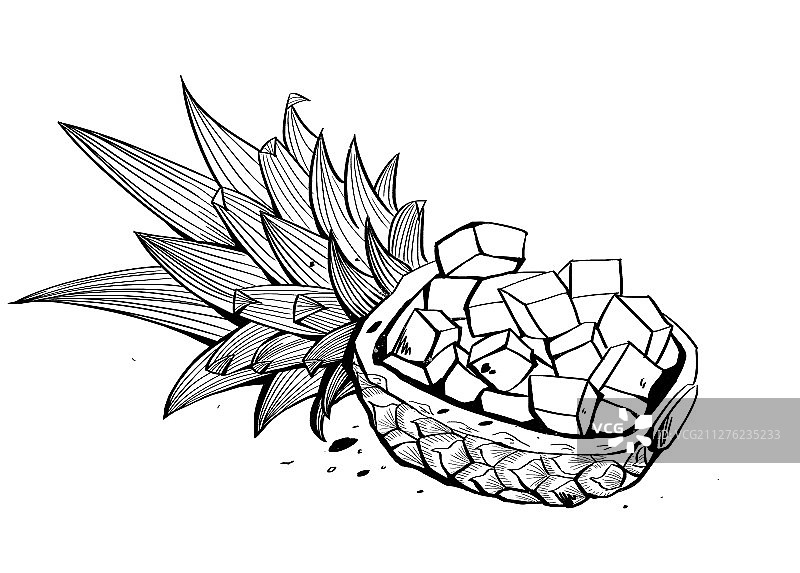 菠萝装饰画图片素材