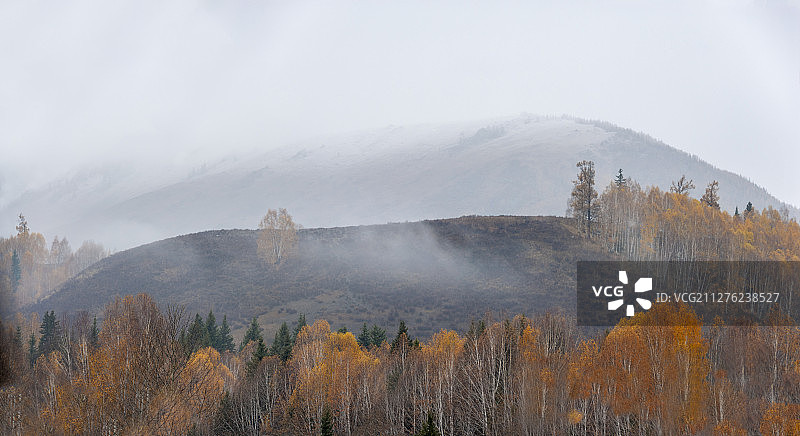 秋雨中的禾木草原图片素材