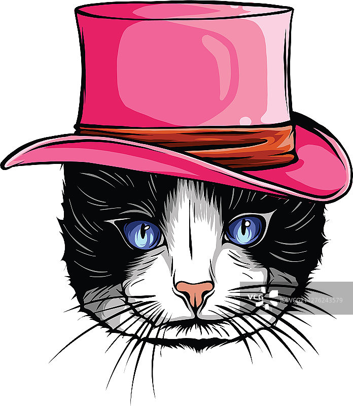 戴高帽子的猫动物画像图片素材
