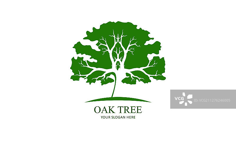 绿色创意橡树Logo设计符号图片素材