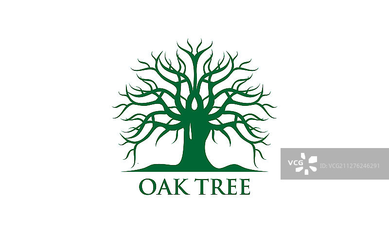 绿色创意橡树Logo设计符号图片素材
