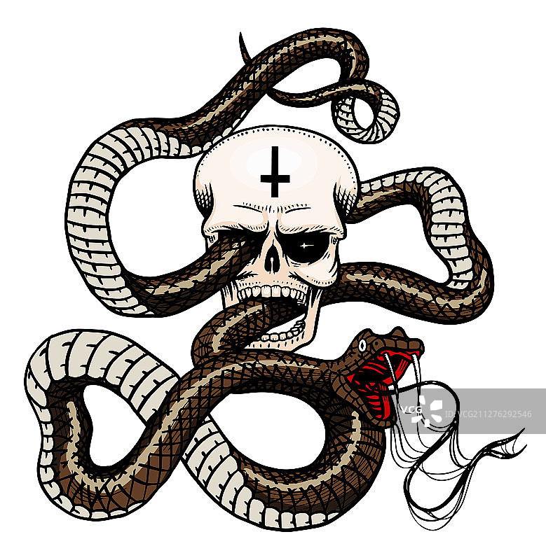 复古风格的蛇与骷髅图片素材
