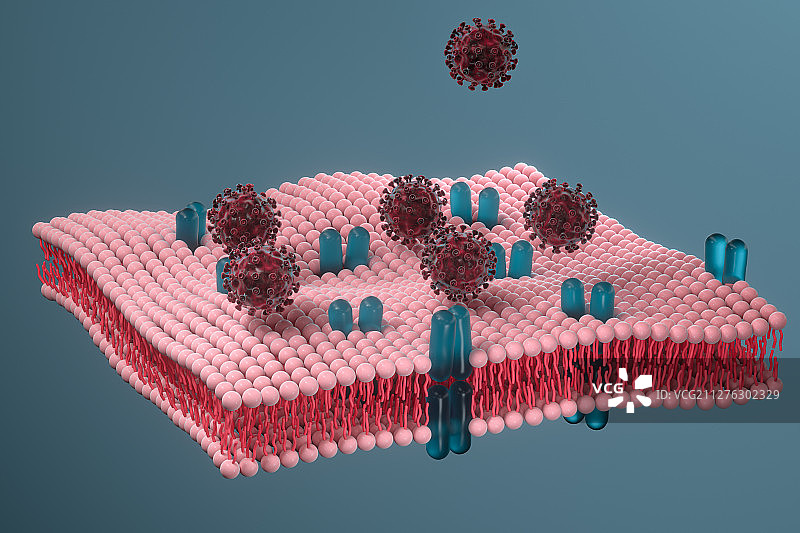 细胞膜表面的病毒 三维渲染图片素材