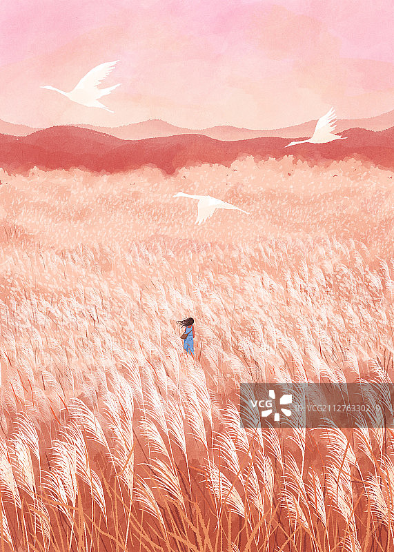 四季的色彩景观节气插画白露图片素材