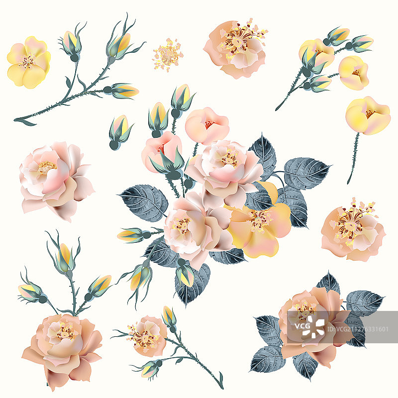 复古风格的逼真黄色粉色玫瑰图片素材