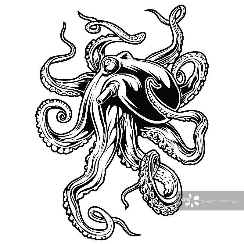 章鱼黑色线条设计图片素材