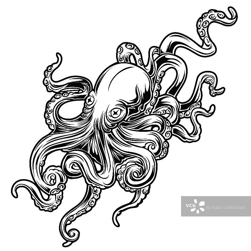 黑色章鱼线稿图片素材