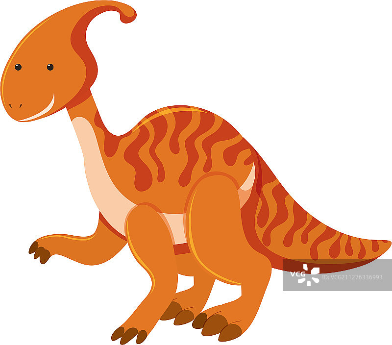 橙色副栉龙单张图片图片素材