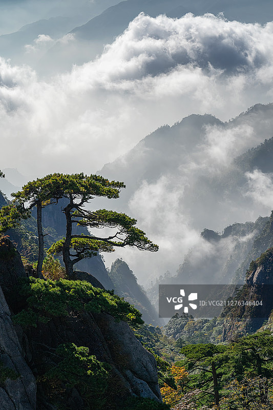 安徽省黄山风景区白天云海图片素材