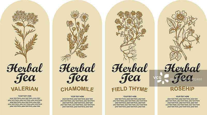 草药茶标签合集图片素材