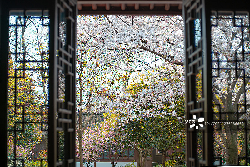 杭州西湖葛岭玛瑙寺春季樱花风景图片素材