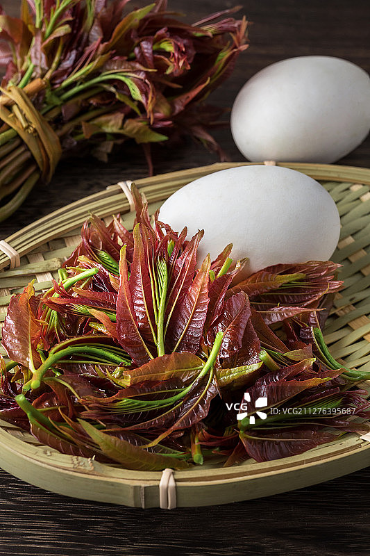新鲜的椿芽图片素材
