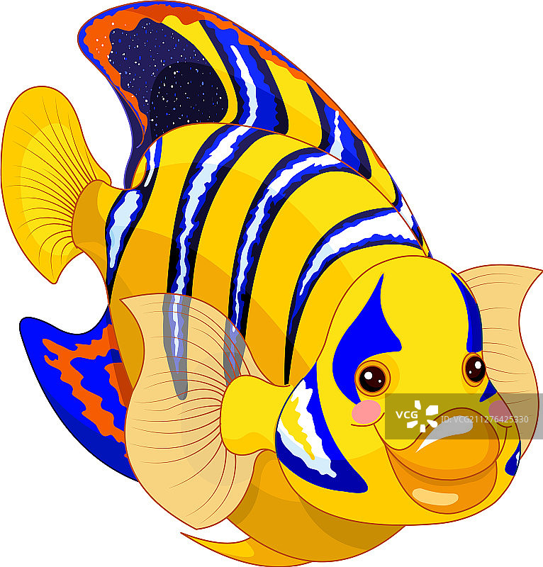 天使鱼图片素材