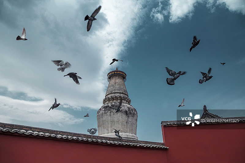 云过塔移 鸟雀围翔图片素材
