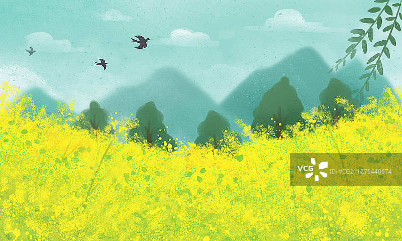 春天农村田园生活下的油菜花园图片素材