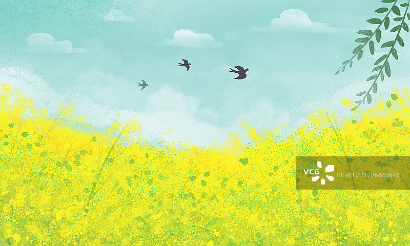 春天农村田园生活下的油菜花园图片素材