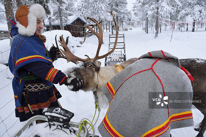 驯鹿雪橇图片素材