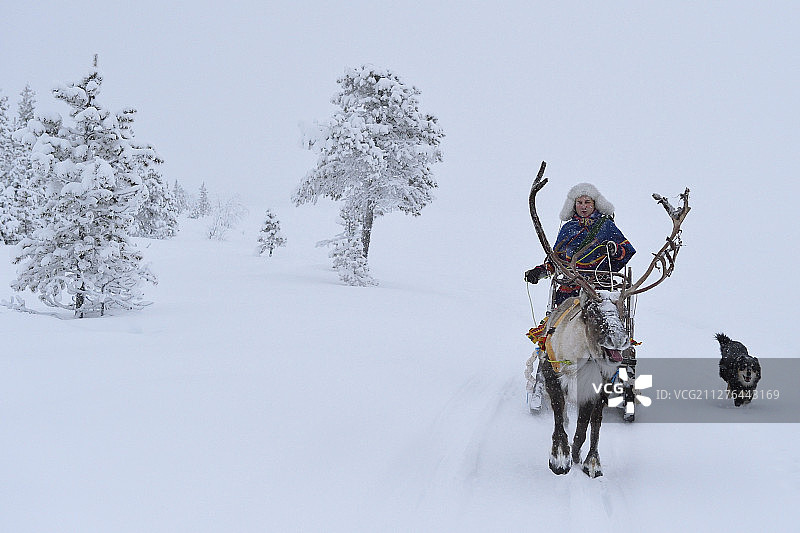 与努蒂萨米西达的所有者和经营者尼尔斯-托比约恩·努蒂一起驯鹿雪橇图片素材
