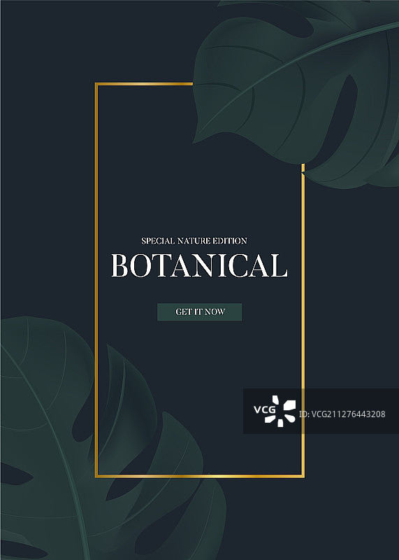 深色背景上的现代3D写实龟背竹图片素材