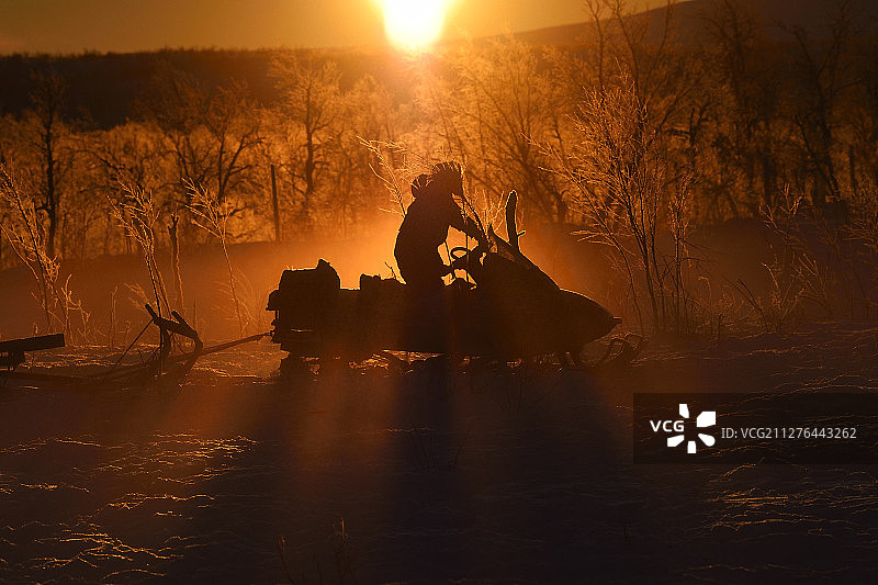 人物：在萨里沃马萨米社区用雪地摩托放牧驯鹿图片素材