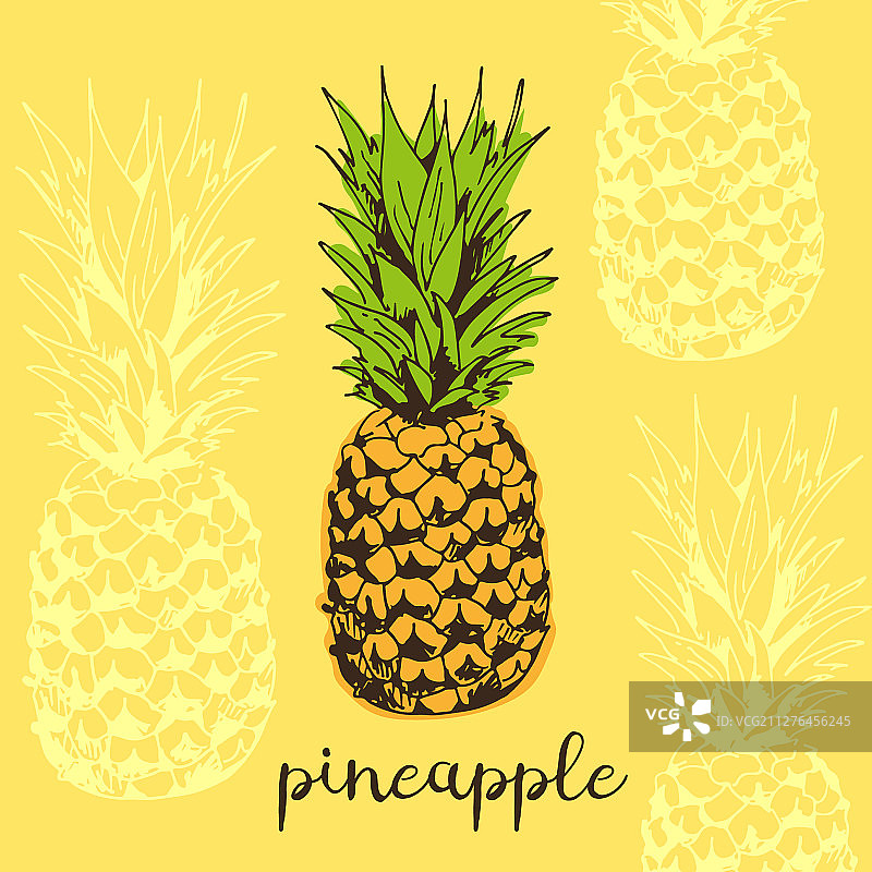 菠萝热带背景图片素材