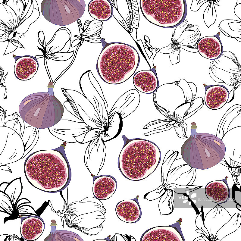 新鲜成熟美味的无花果图案图片素材