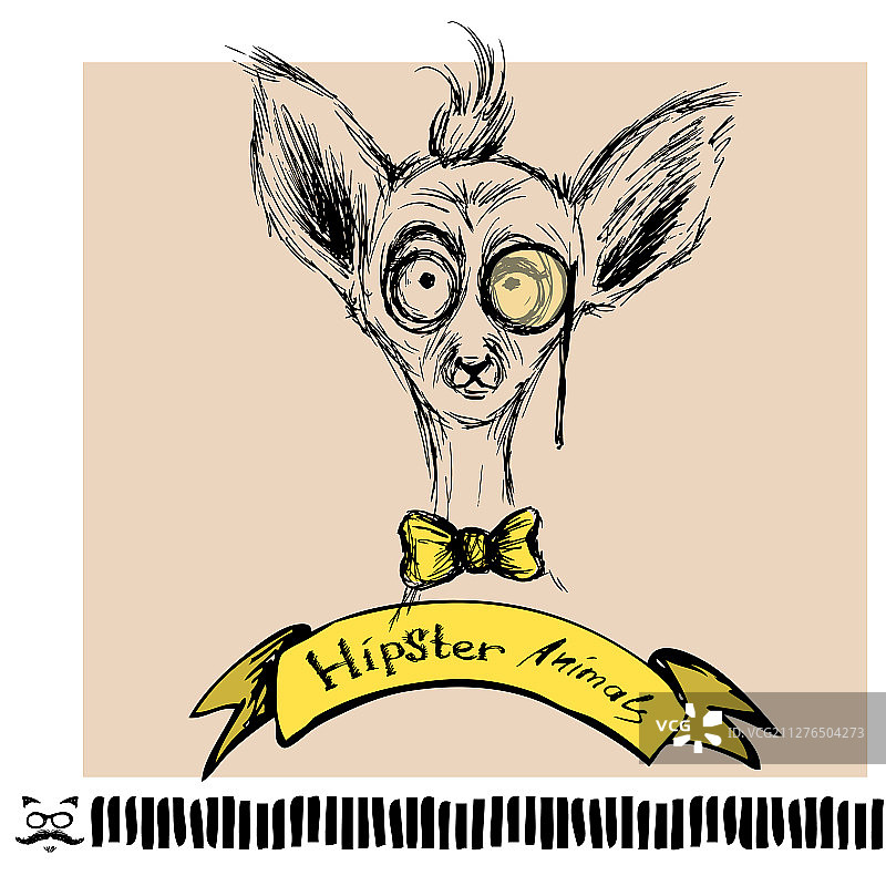 背景分离的潮人狐猴肖像图片素材