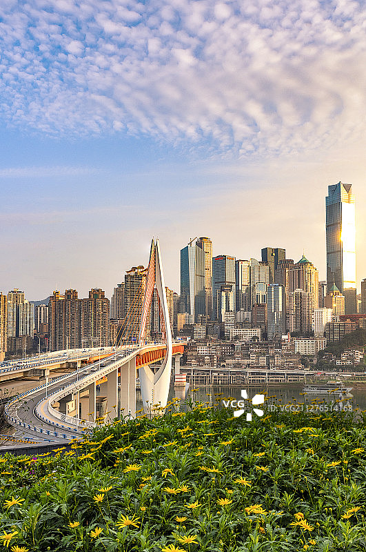 春意盎然重庆城图片素材