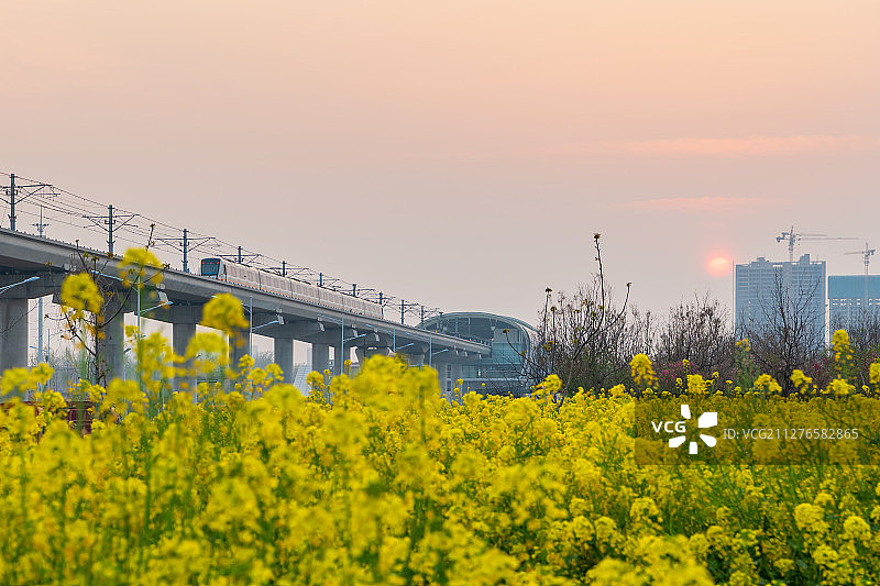 春季地铁列车与油菜花田户外风光图片素材